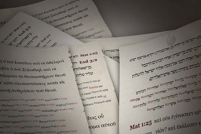 תרגום לעברית באיכות גבוהה ביותר